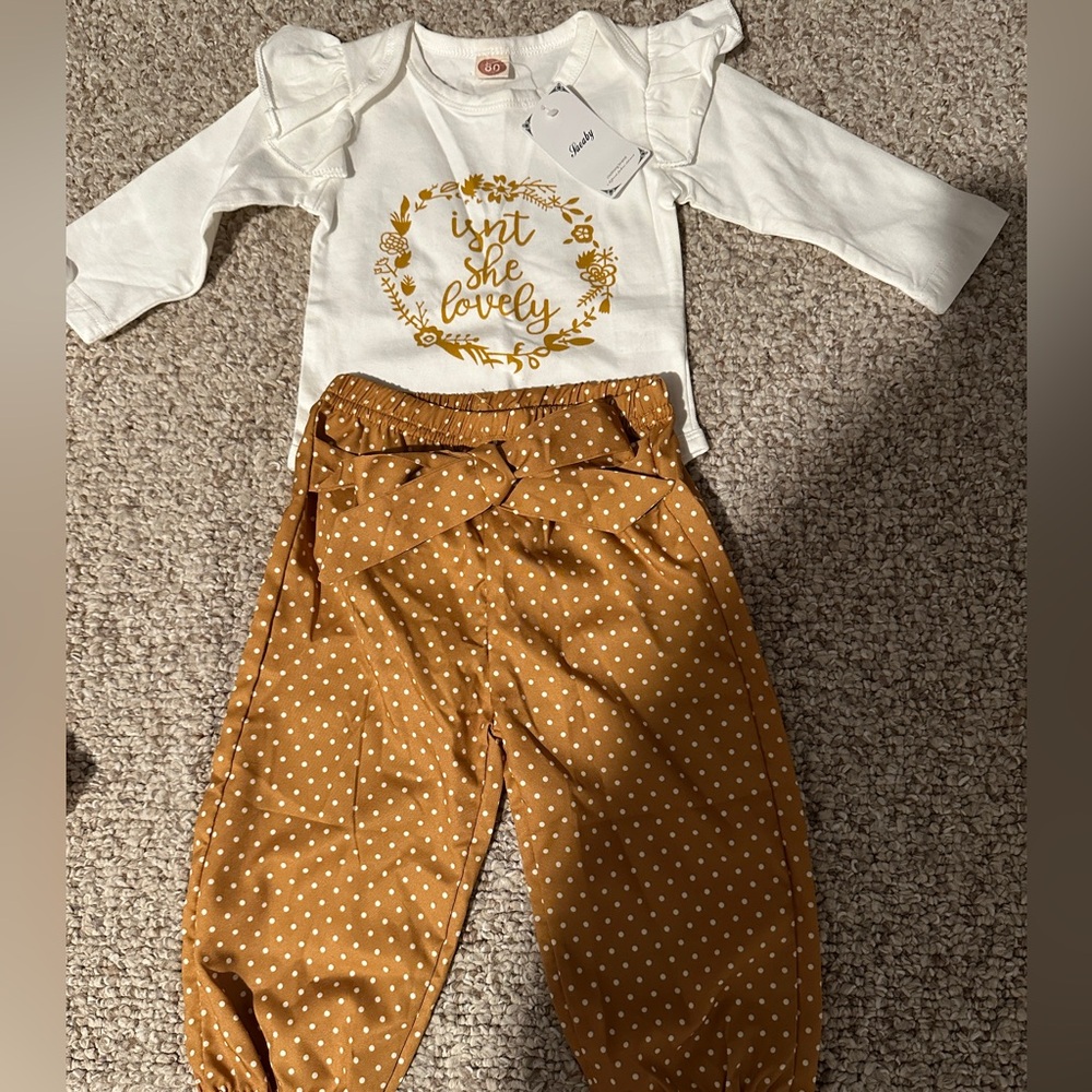 Beautiful Never Worn NWT 0-3 Months Boutique Outfit, satin pants matching shirt!